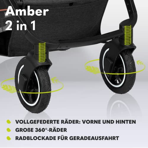 LIONELO Amber Kinderwagen 2 in 1 Kombikinderwagen, Kinderwagen Set mit sportlichen Sitz und fester Babywanne, Tasche, Moskitonetz, Abdeckung Regenblatt (Graphit)