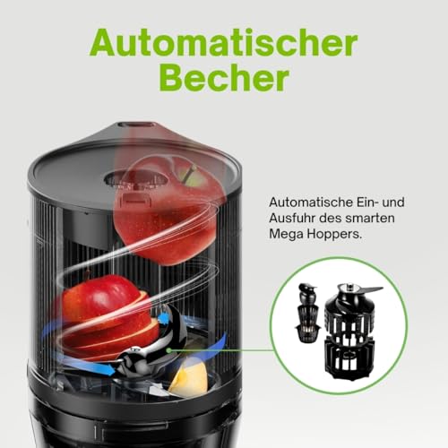 Entsafter Elektrische Kaltpresse Siebfilter Titangrau