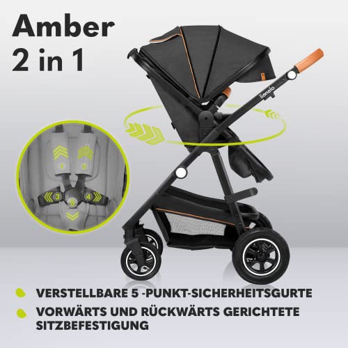 LIONELO Amber Kinderwagen 2 in 1 Kombikinderwagen, Kinderwagen Set mit sportlichen Sitz und fester Babywanne, Tasche, Moskitonetz, Abdeckung Regenblatt (Graphit)