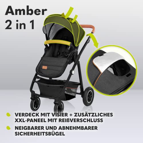 LIONELO Amber Kinderwagen 2 in 1 Kombikinderwagen, Kinderwagen Set mit sportlichen Sitz und fester Babywanne, Tasche, Moskitonetz, Abdeckung Regenblatt (Graphit)