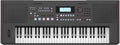 Roland E X50 elektronisches Arranger Keyboard – Einfache Bedienung | Stereo Lautsprecher | Bluetooth | Professionelle Roland Sounds | Mikrofoneingang | Automatische Begleitfunktion