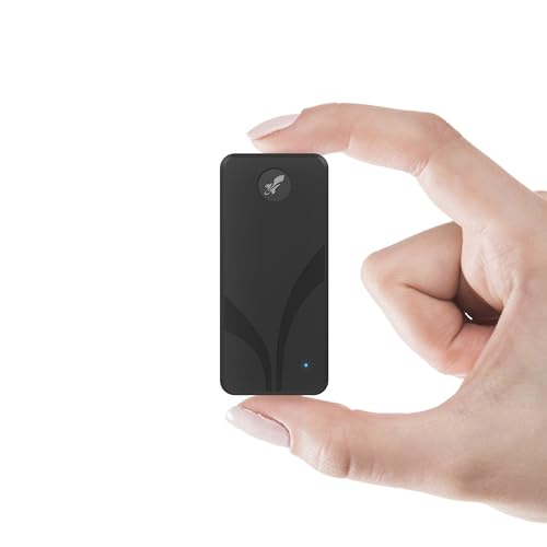 SABRENT Portable SSD 1TB, Festplatte extern NVMe, USB 3.2 Gen 2, 1500 MB/s Lesen, USB C Kabel enthalten, Externe M.2 SSD Aluminiumschale, schwarz (SB 1TB NAV2)