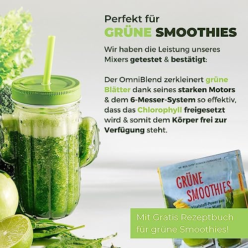 OmniBlend BPA freiem 6 Klingen System Edelstahl Standmixer