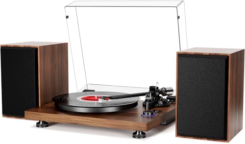 HiFi Plattenspieler Bluetooth USB, Schallplattenspieler mit Lautsprecher, dual Kompaktanlage Stereoanlage,einstellbarem Gegengewicht Magnetpatrone,RCA Ausgang