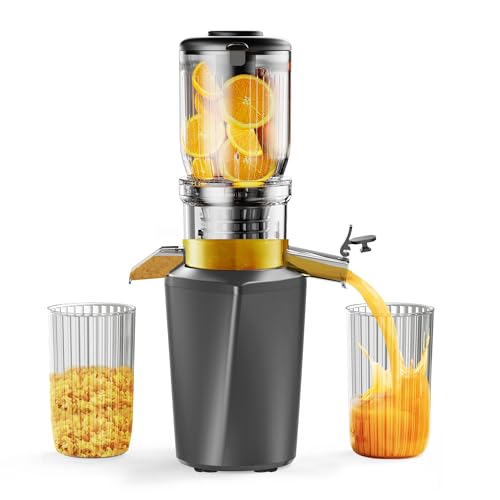 Fyenkfar ENTSAFTER GEMÜSE OBST TESTSIEGER