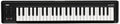 Korg MICROKEY2 49 MicroKey 2 Tastatur 49