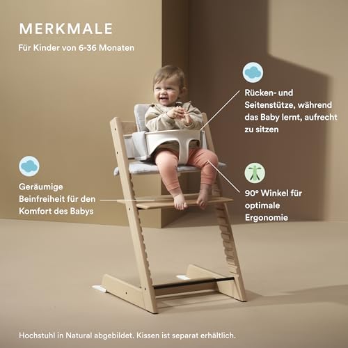 Stokke Tripp Trapp Hochstuhl (Storm Grey) mit Stokke Tray (Storm Grey)   ein verstellbares, ergonomisches und leicht zu reinigendes Babyset für Kinder im Alter von 6 36 Monaten